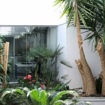 Photographie d'une partie des locaux de l'agence dijonnaise d'Alteca, ici un espace vert à l'intérieur-même de l'agence.